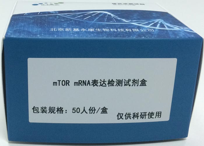 mTOR mRNA_