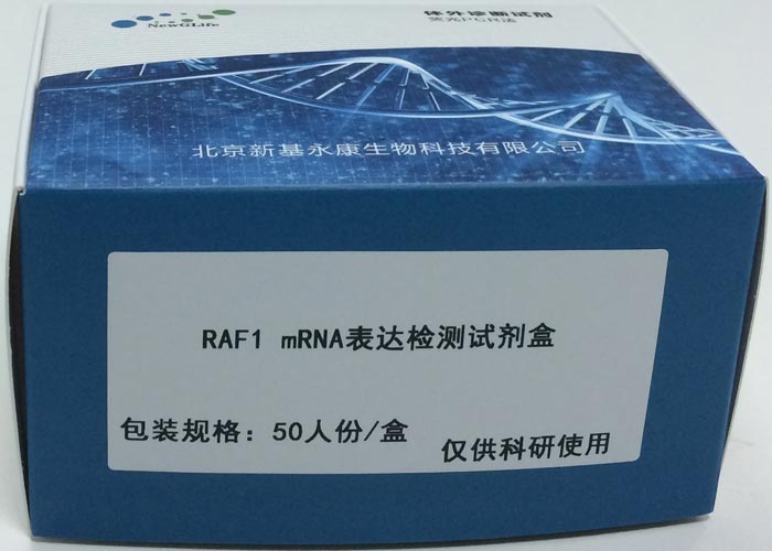 RAF1 mRNA_